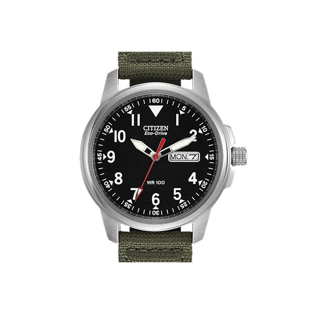 Citizen Garrison
