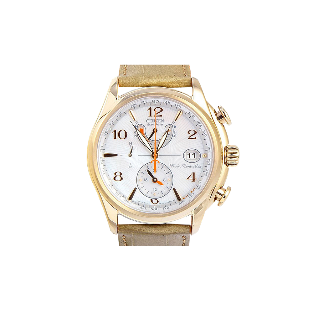 Citizen World Time Mother of Pearl