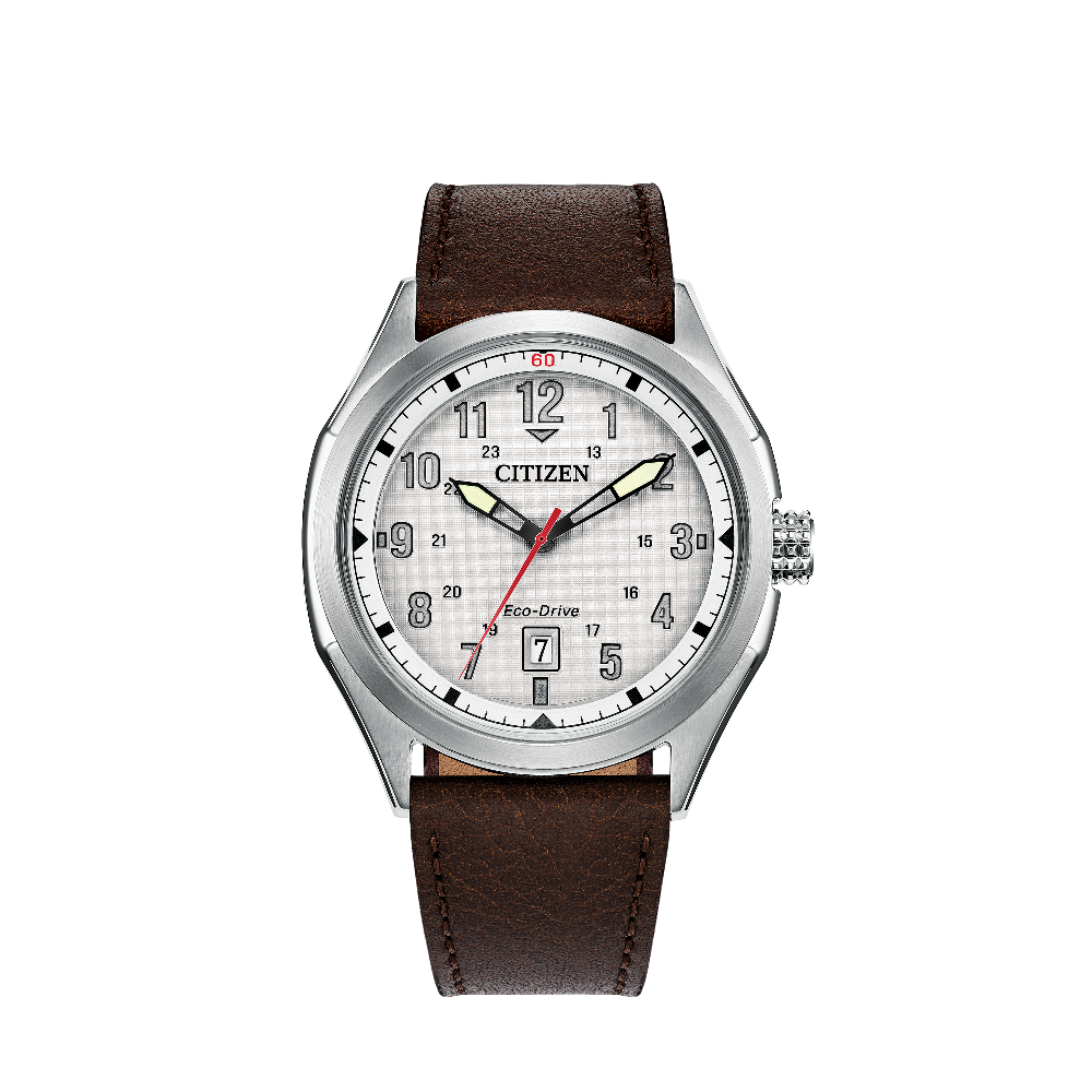 Citizen Terra Force Silver-Tone Dial Silver Dial Straps