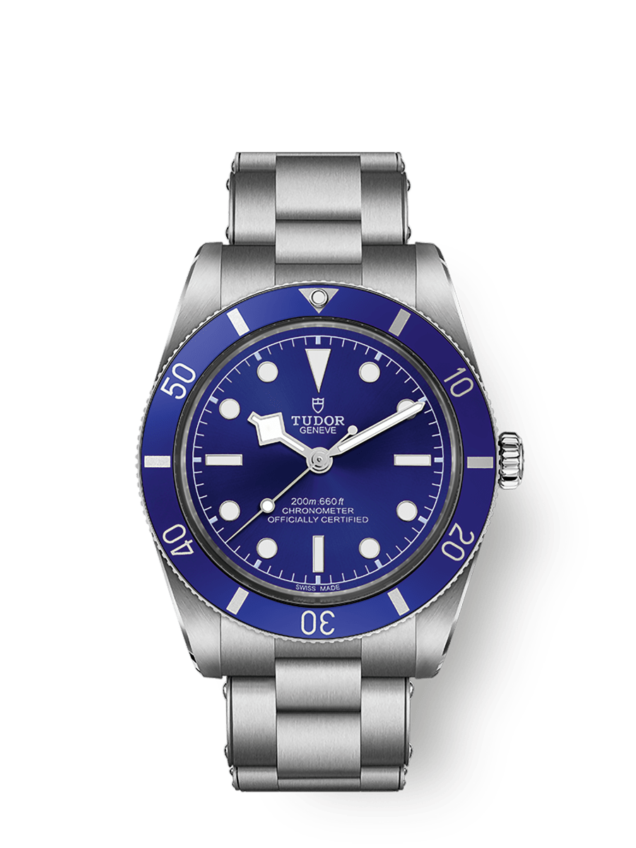 Tudor Black Bay 54