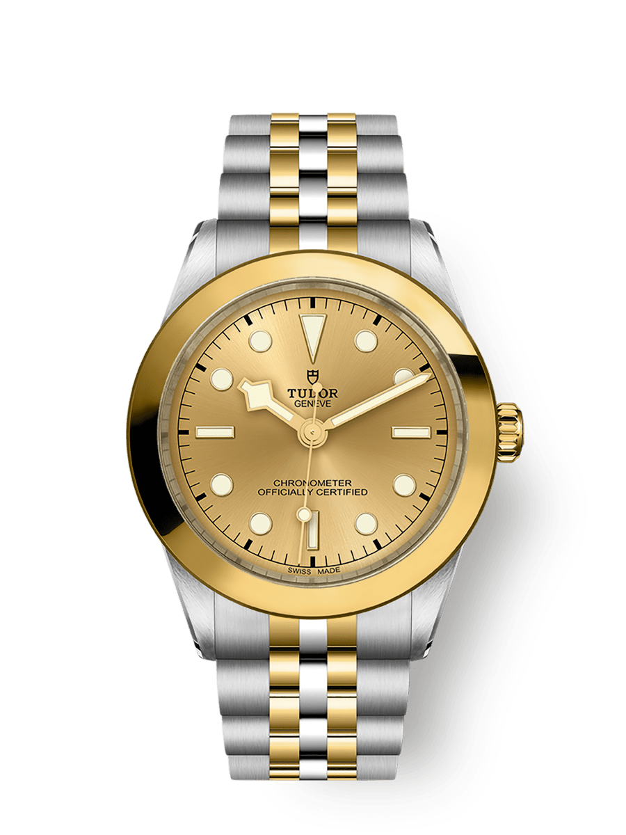 Tudor Black Bay One 39 S&G Natural/Cream Dial Straps