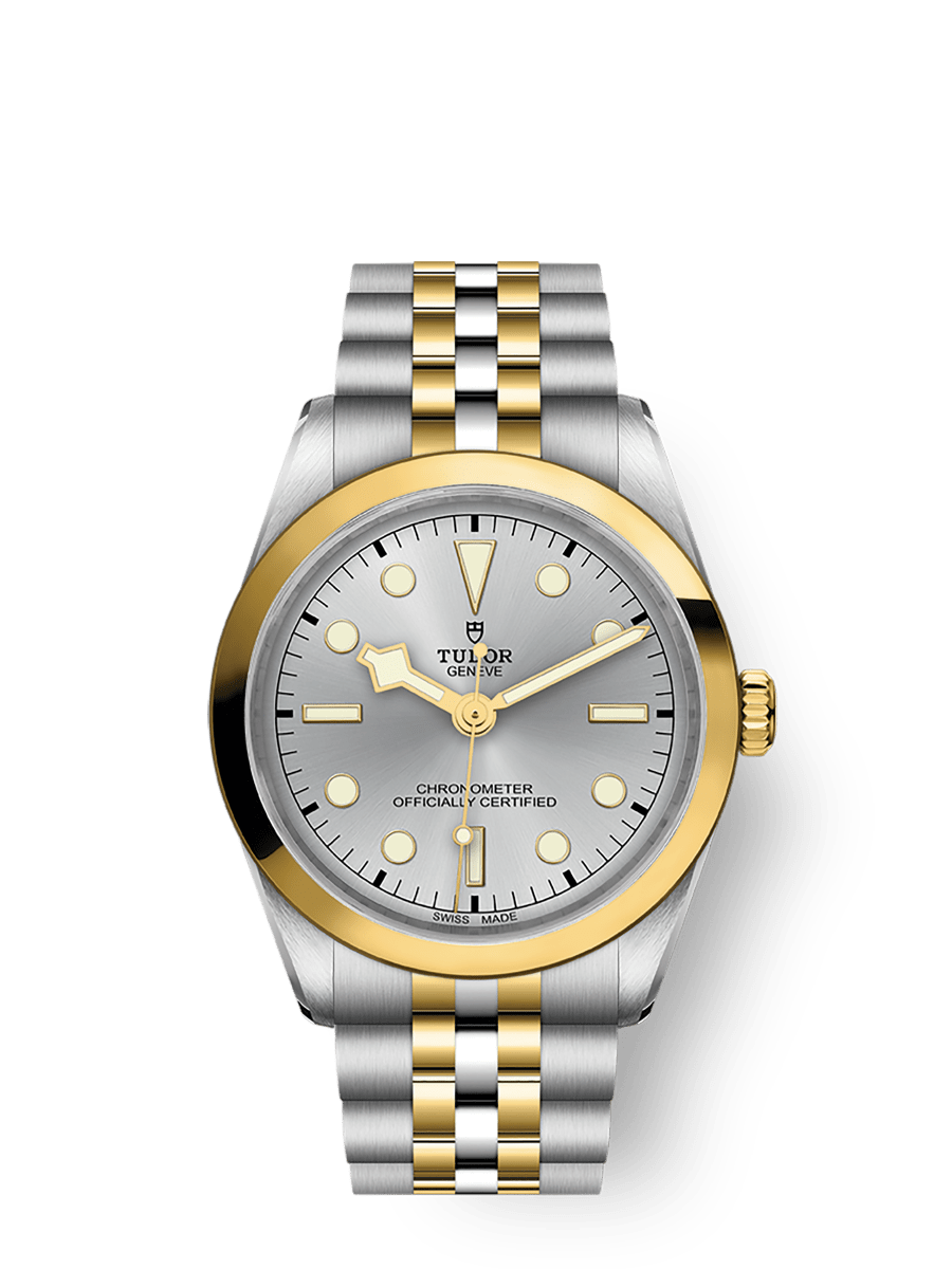 Tudor Black Bay One 36 S&G