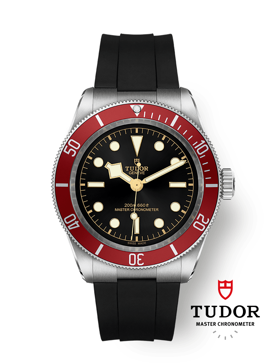 Tudor Black Bay