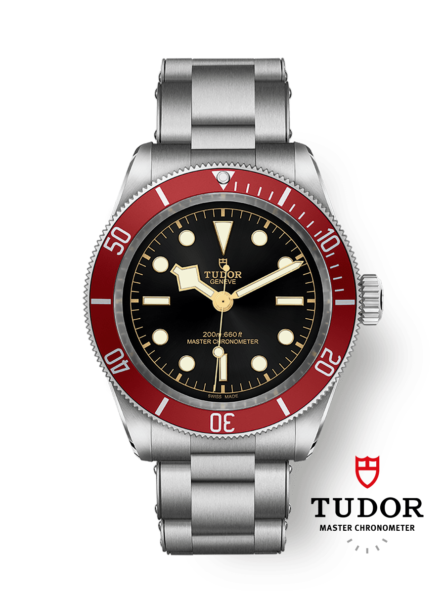 Tudor Black Bay