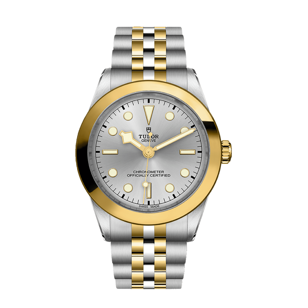 Tudor Black Bay One 39 S&G