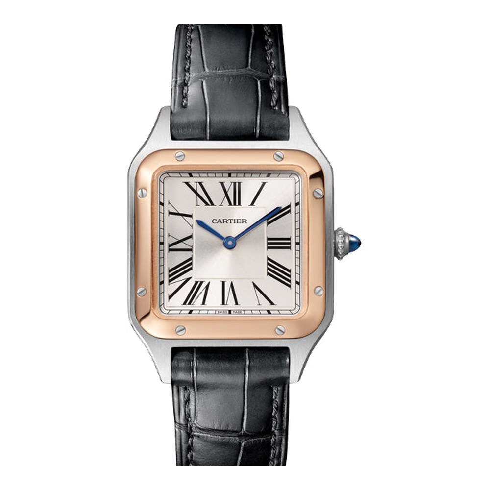 Cartier Santos Dumont Small