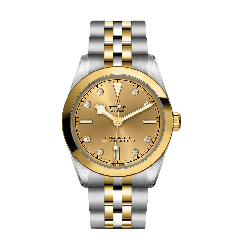 Tudor Black Bay One 31 S&G