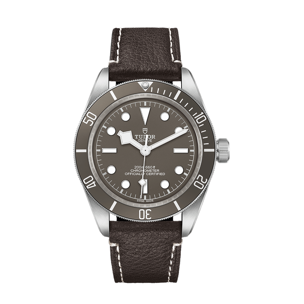 Tudor Black Bay 58