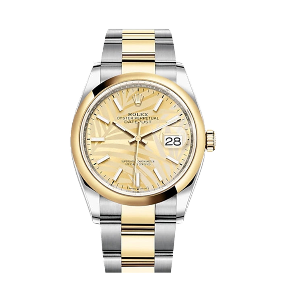 Rolex Datejust 36 Stainless Steel / Yellow Gold / Smooth / Golden Palm / Oyster