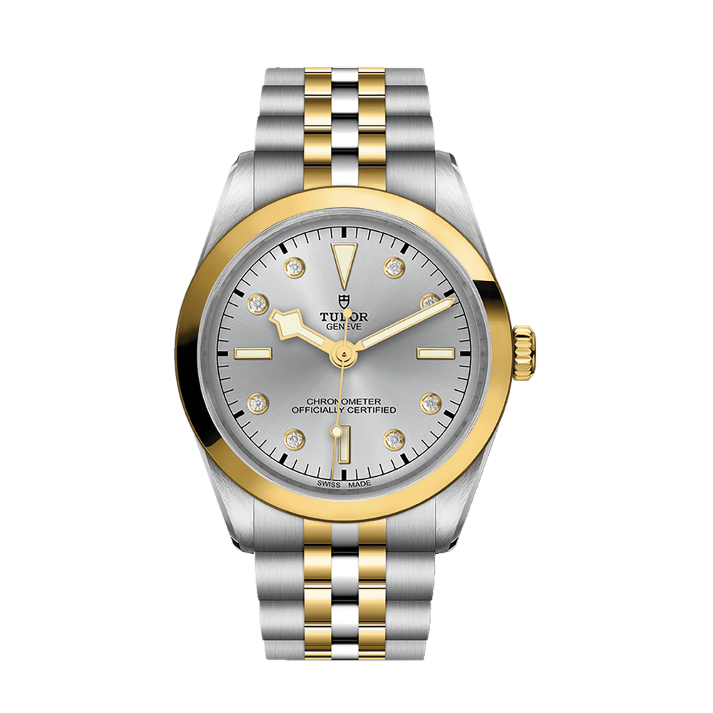 Tudor Black Bay One 36 S&G