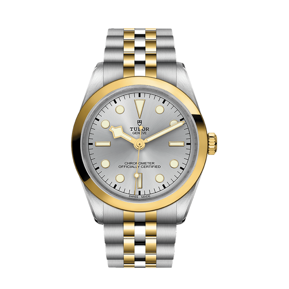 Tudor Black Bay One 36 S&G