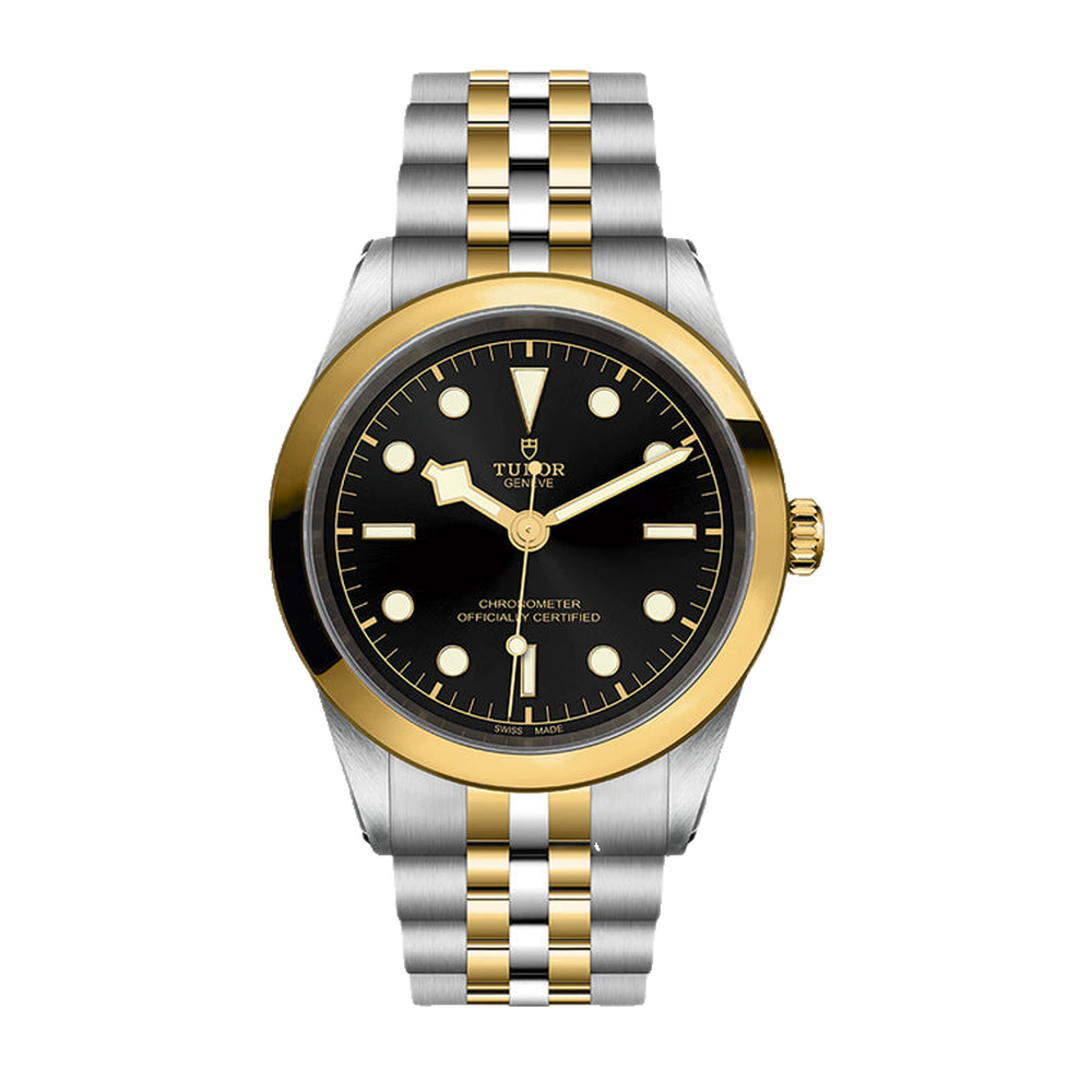 Tudor Black Bay 41 S&G