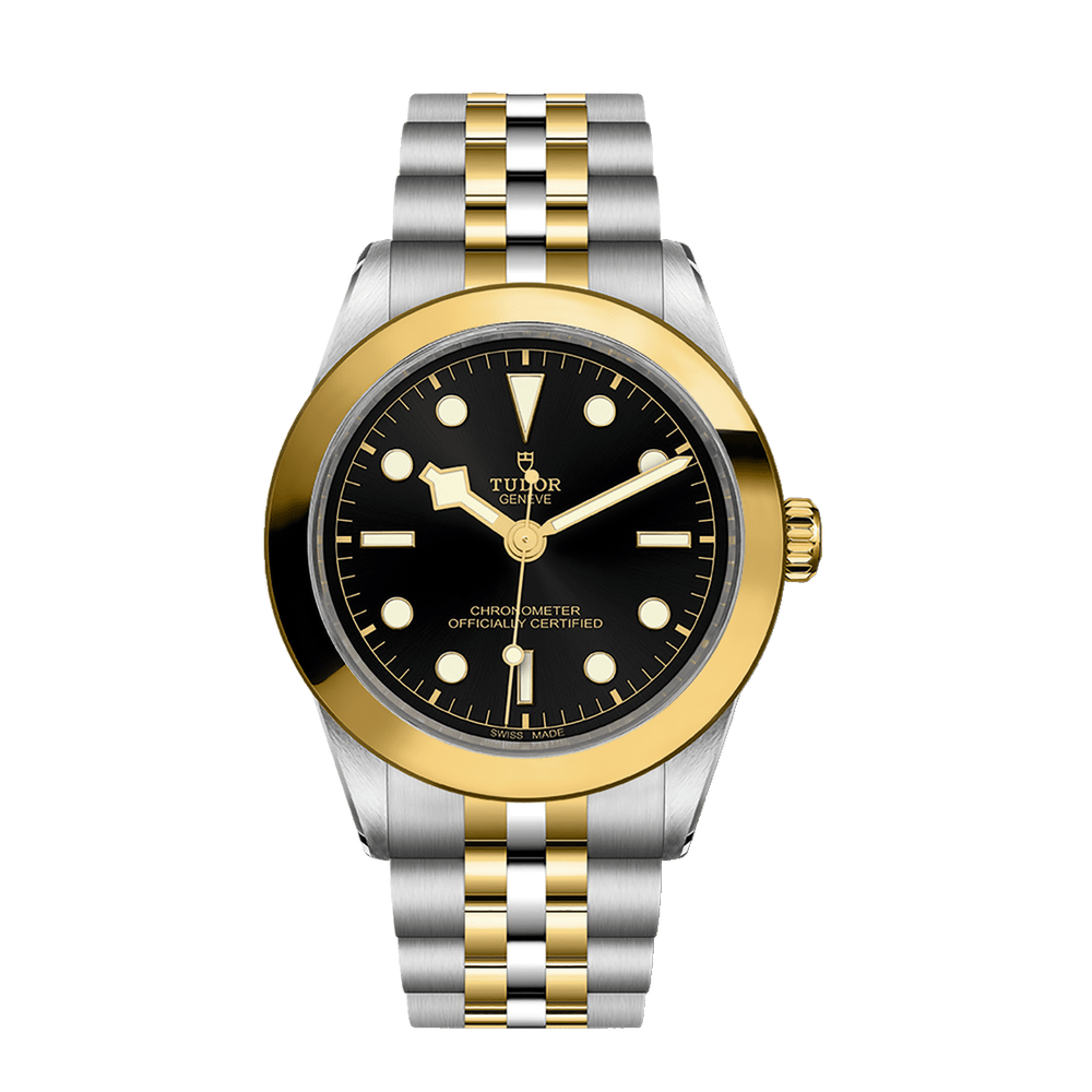 Tudor Black Bay One 39 S&G