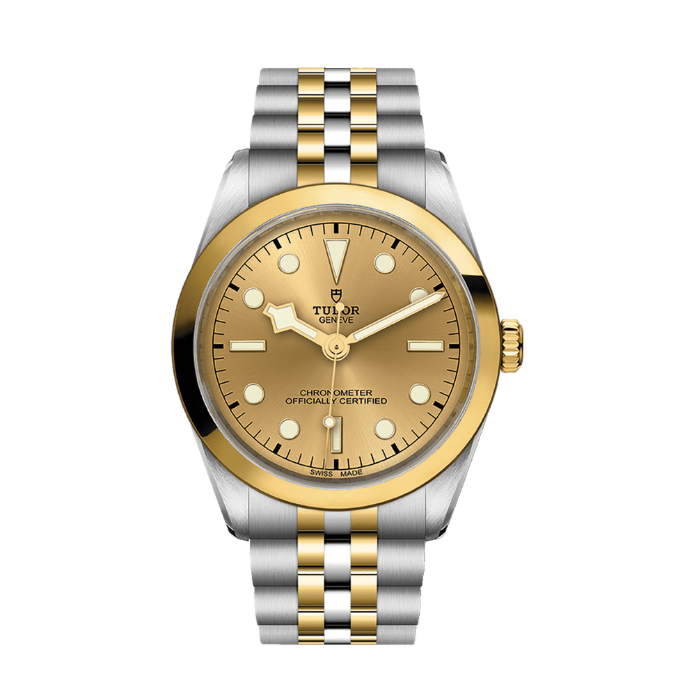 Tudor Black Bay One 36 S&G
