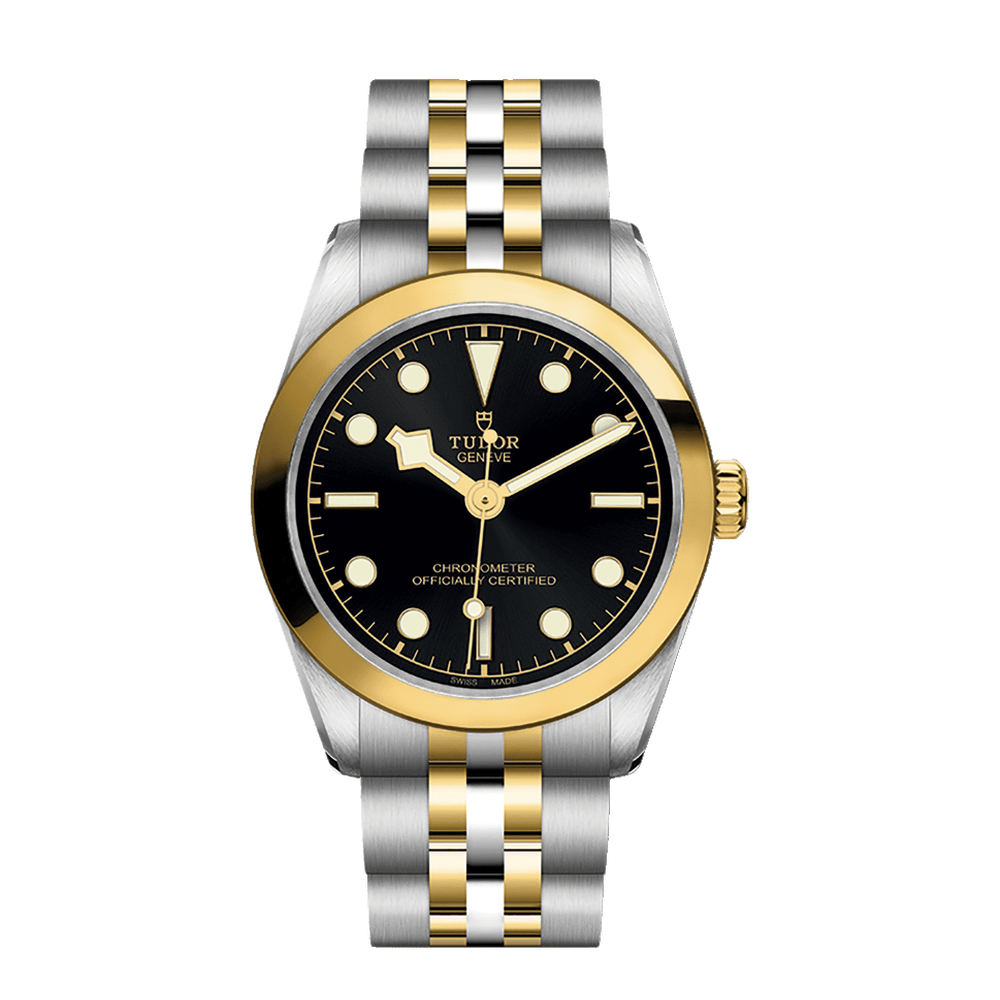 Tudor Black Bay One 31 S&G