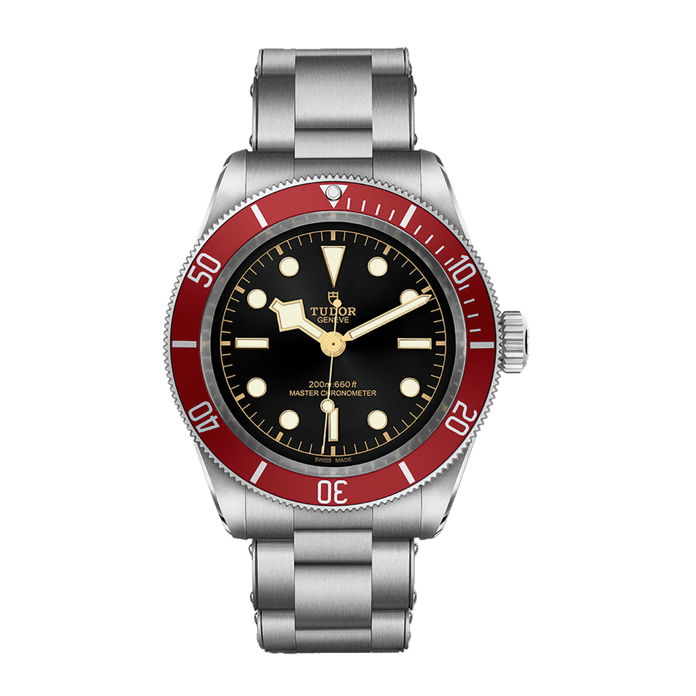 Tudor Black Bay