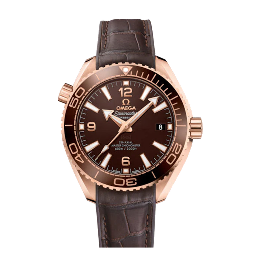 Omega Semaster Planet Ocean 600M